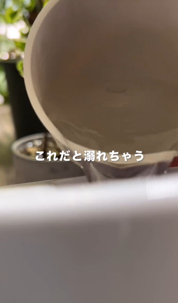 枯れやすい鉢を解説