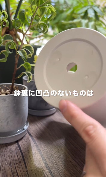 枯れやすい鉢を解説