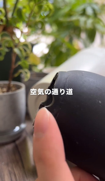 枯れやすい鉢を解説