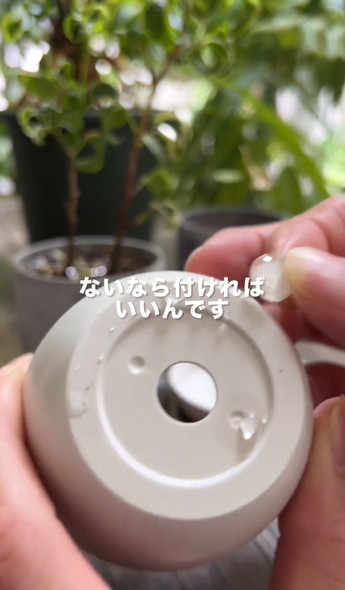 枯れやすい鉢を解説