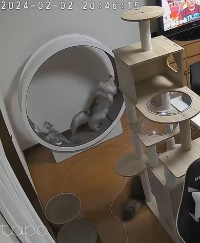 おすすめ