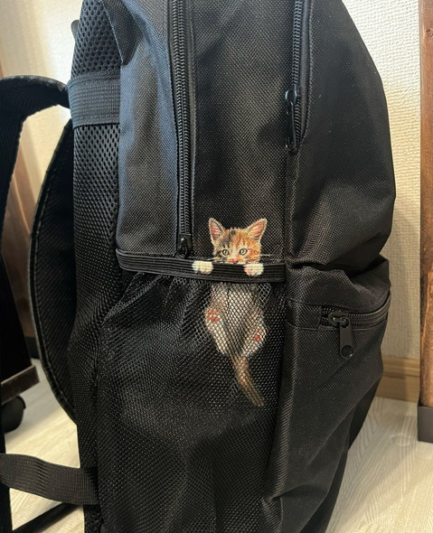 リュックに猫の絵