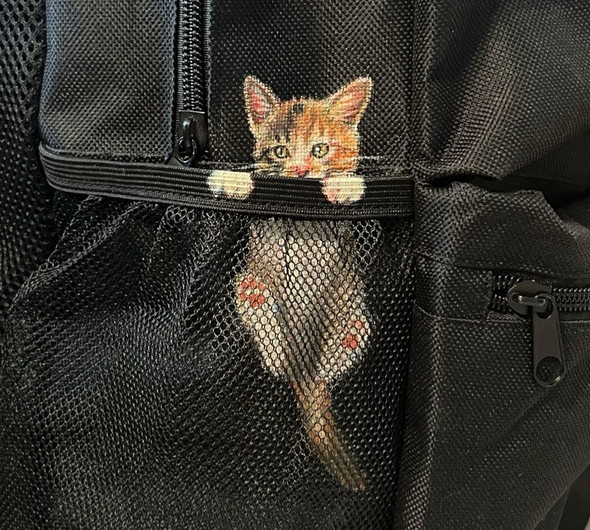 リュックに猫の絵