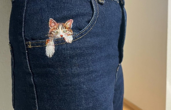 ジーパンに猫の絵