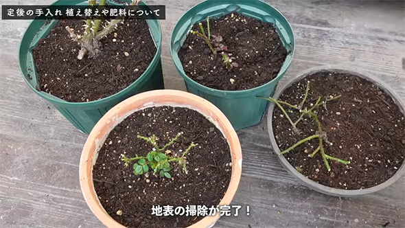 地表の掃除が完了