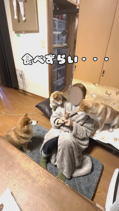 焼き芋を持つ飼い主さんとワンコ3匹