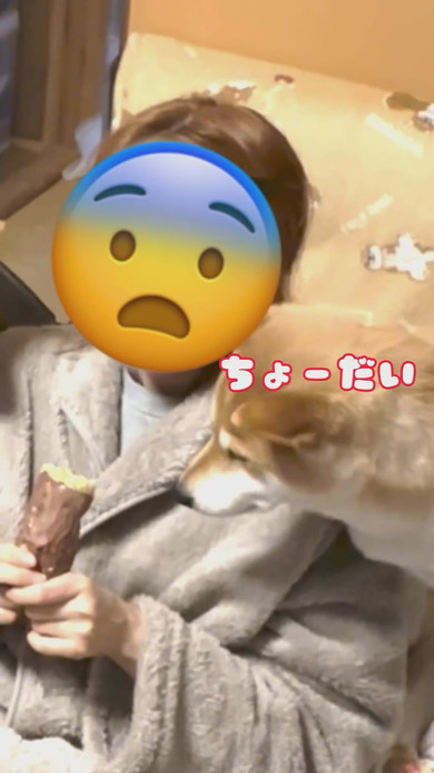 焼き芋を持つ飼い主さんとワンコ3匹