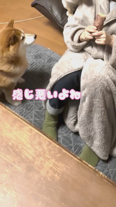 焼き芋を持つ飼い主さんとワンコ3匹