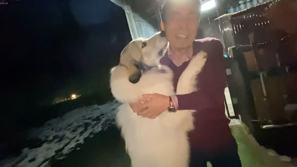 みんなの帰宅に喜ぶ大型犬