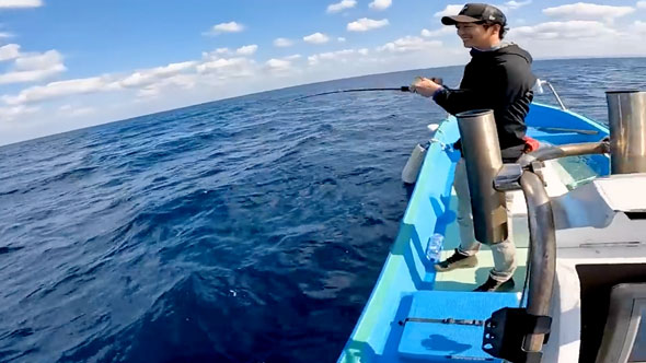 見たこともない魚