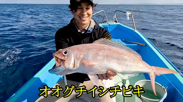 見たこともない魚