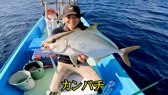 見たこともない魚