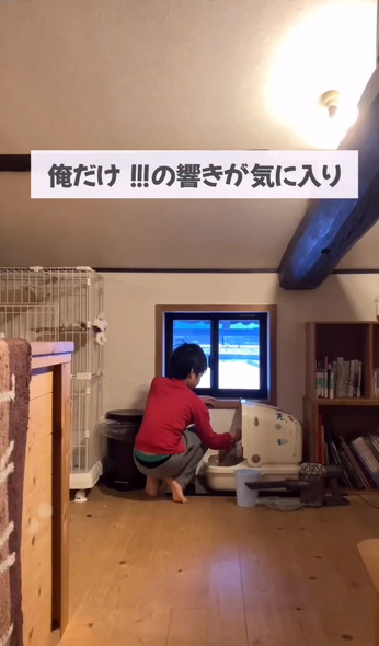 お手伝いする三男