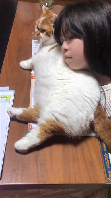 お互いにくっつくふたり