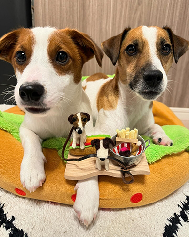 羊毛フェルトと2匹のワンコ