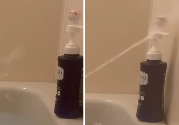 水鉄砲 勢い 強い 強力 高威力 エイム 手 水鉄砲ネキ