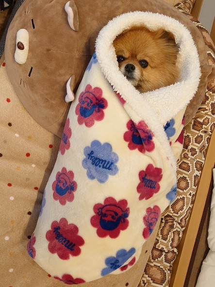 おくるみワンコ