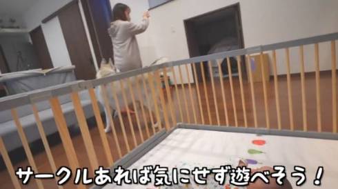 犬 シベリアンハスキー もんちゃん 赤ちゃん