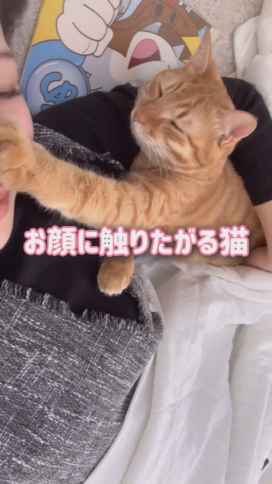 お昼寝中ママに甘える猫ちゃん