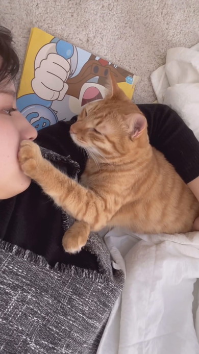 お昼寝中ママに甘える猫ちゃん