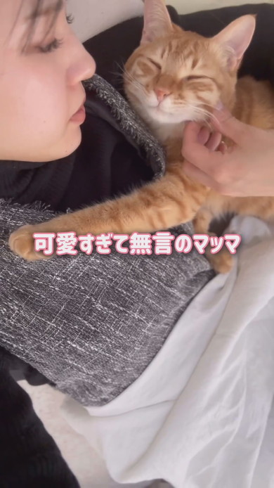 お昼寝中ママに甘える猫ちゃん