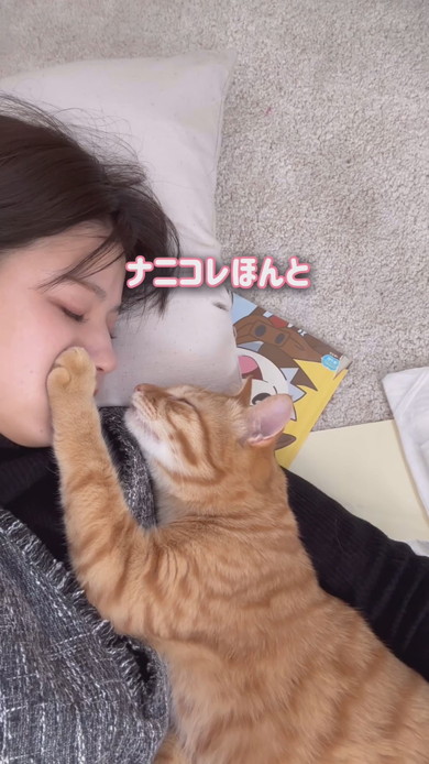 お昼寝中ママに甘える猫ちゃん