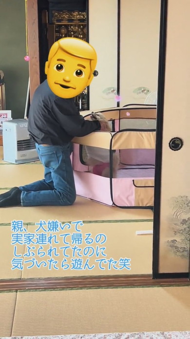 ポメラニアンのワンコをかわいがる男性