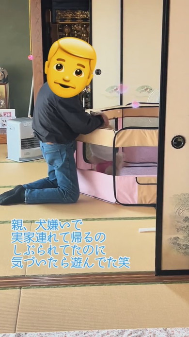 ポメラニアンのワンコをかわいがる男性