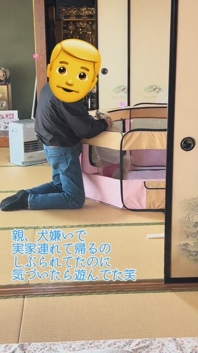 ポメラニアンのワンコをかわいがる男性