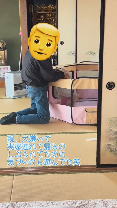 ポメラニアンのワンコをかわいがる男性