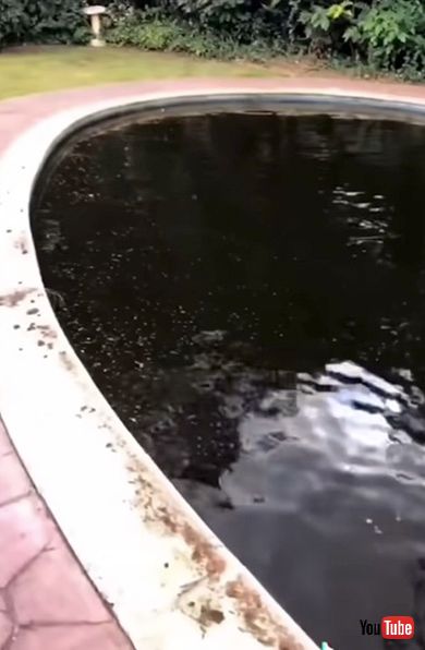 クリーニング 掃除 プール