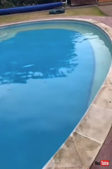 クリーニング 掃除 プール