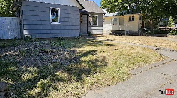 クリーニング 雑草 ビフォアフ