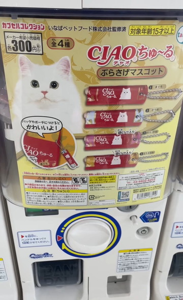 ちゅ〜ると猫