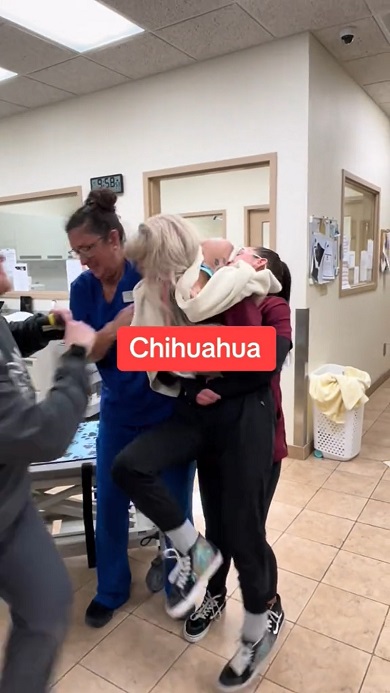 動物病院スタッフが再現した爪を切られる際の犬種ごとの反応