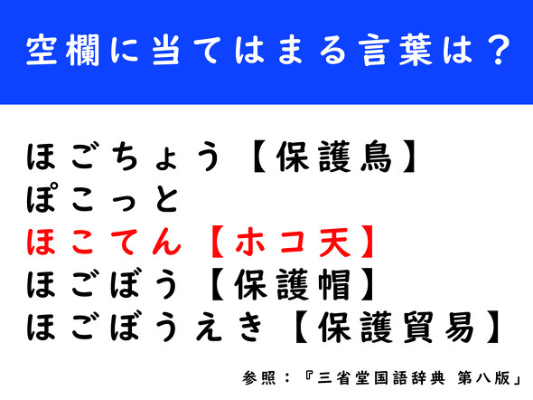 三省堂国語辞典　辞書　クイズ