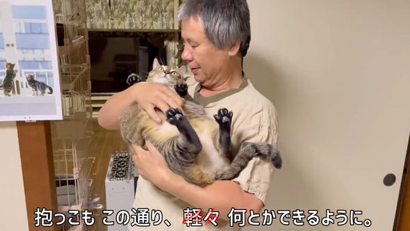 超巨体猫を迎えて8カ月後