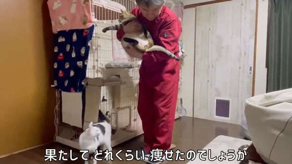 超巨体猫を迎えて8カ月後