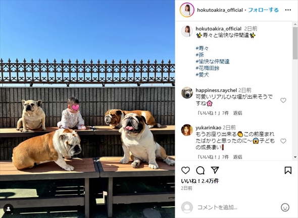 北斗晶の孫・寿々ちゃんと愛犬たち