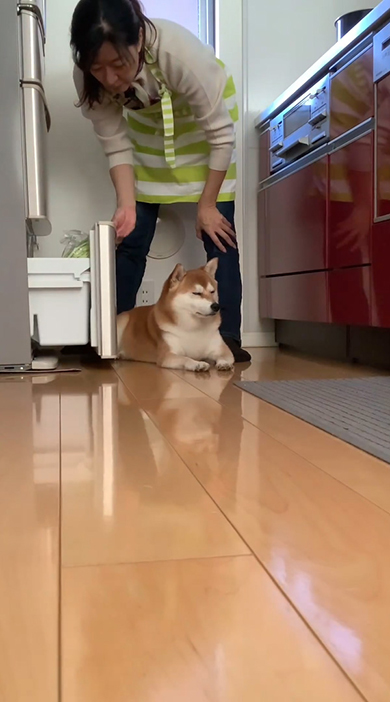 目をつぶるワンコ