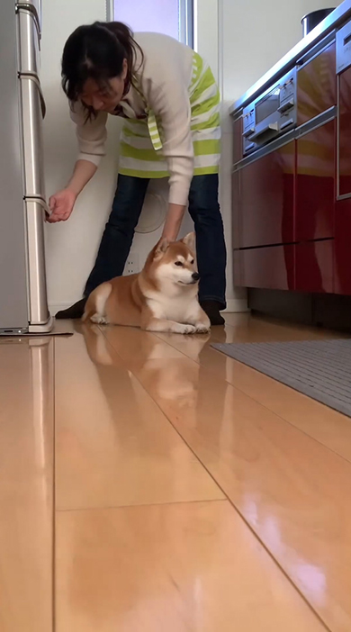 冷蔵庫をしめたママさん