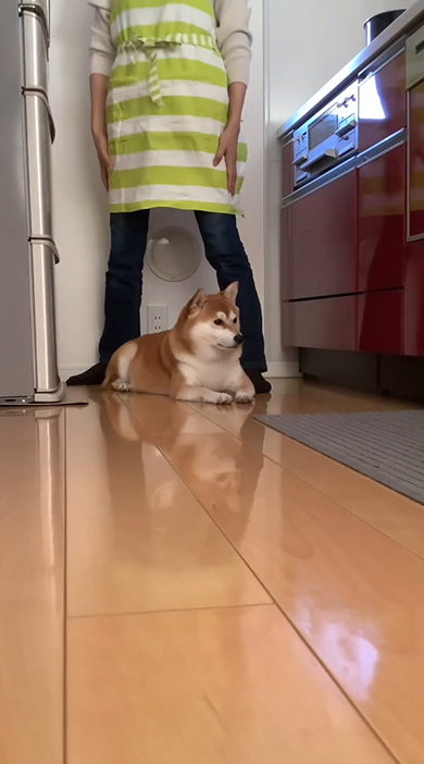 体を起こしたママさん