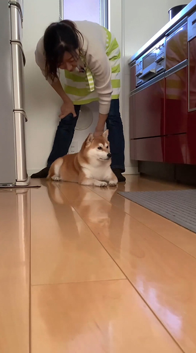 ワンコに呼びかけるママさん