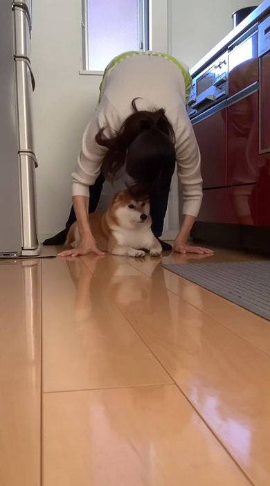 ワンコの顔を覗き込むママさん