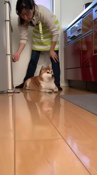 ややこちらを見ながら冷蔵庫を開けるママさん