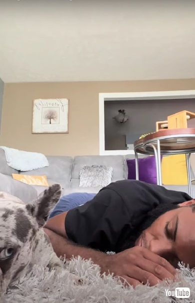 抗議するワンコ