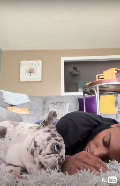 抗議するワンコ