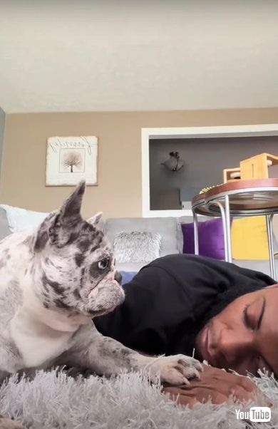 抗議するワンコ