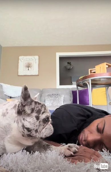 抗議するワンコ