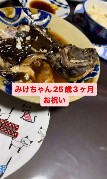 ご長寿猫ちゃんお祝い
